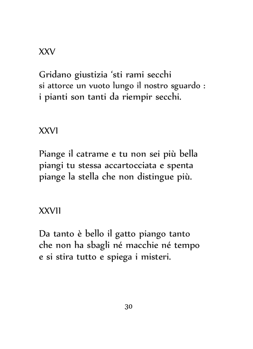 Informazioni-fiammanti-30