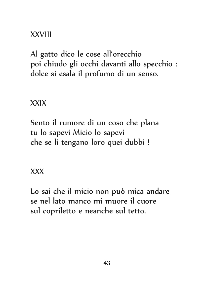 Informazioni-fiammanti-43