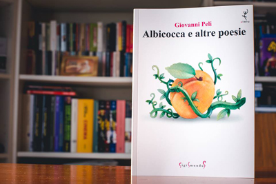 albicocca01