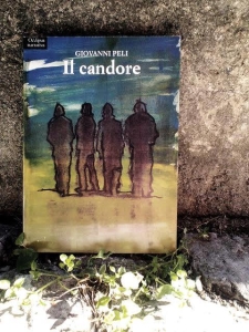 Il candore
