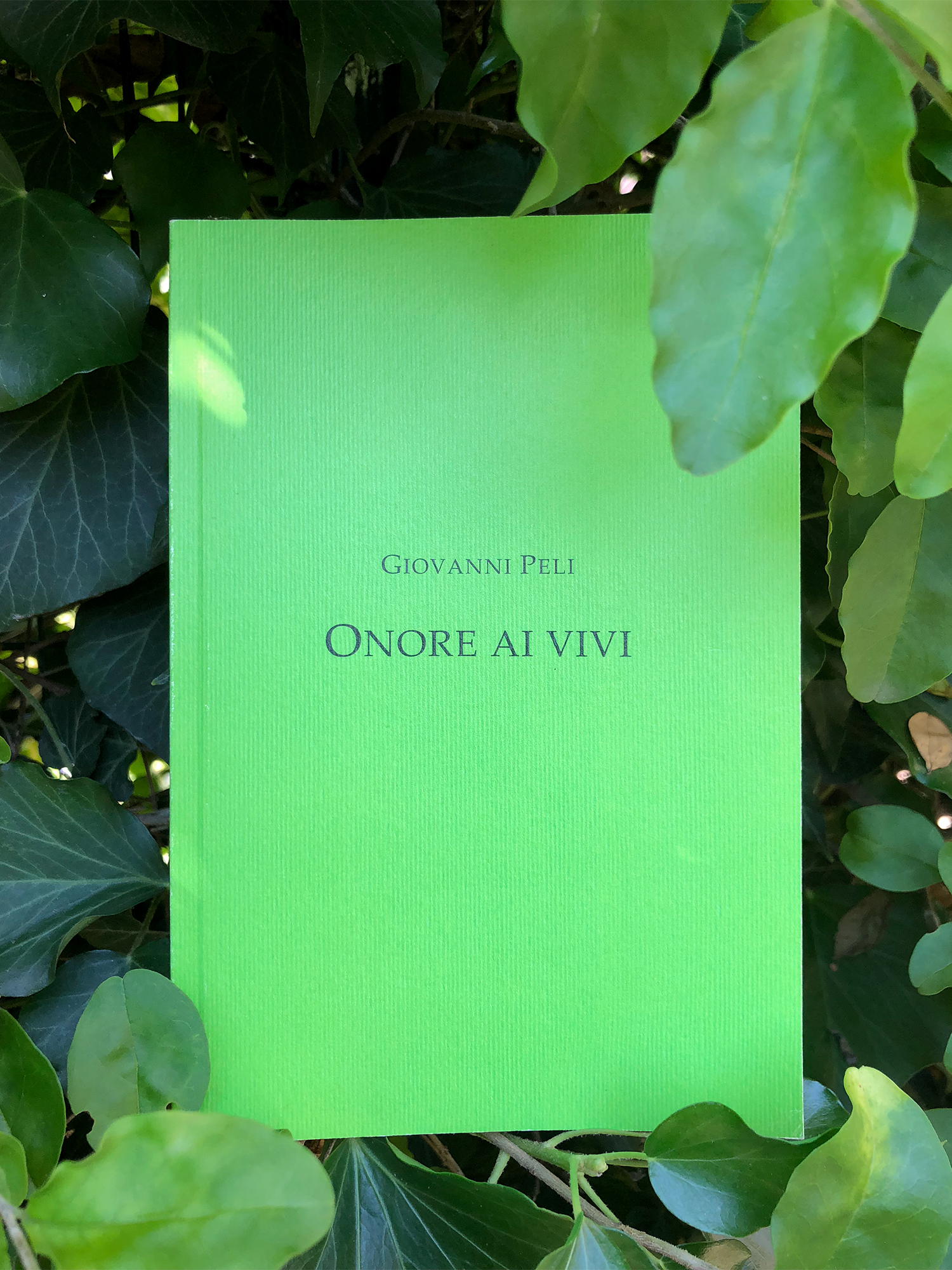 onore-ai-vivi-03