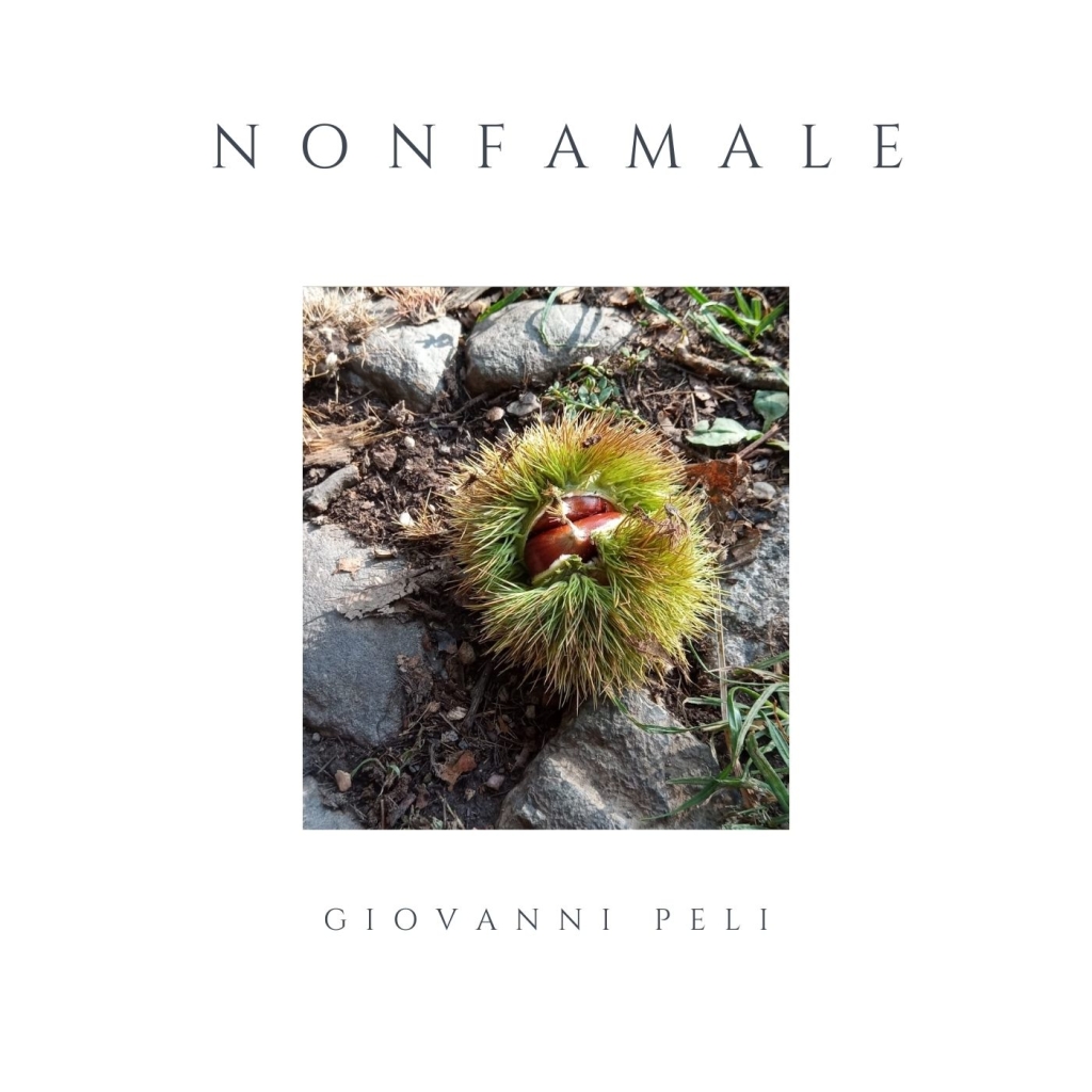 nonfamale