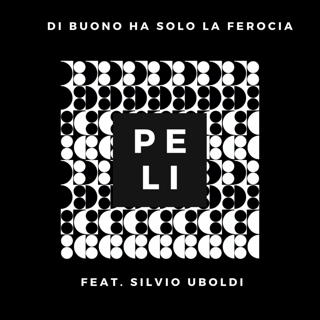 il tessitore