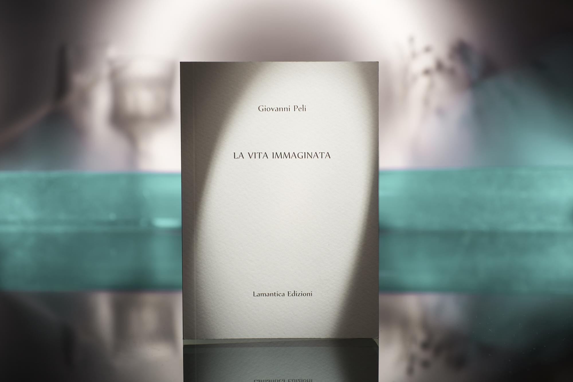La vita immaginata