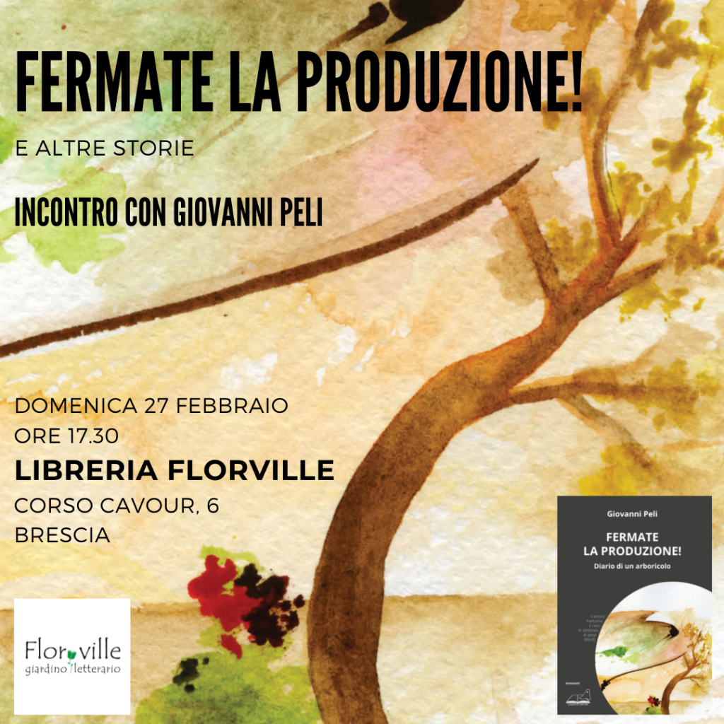 festa della birra